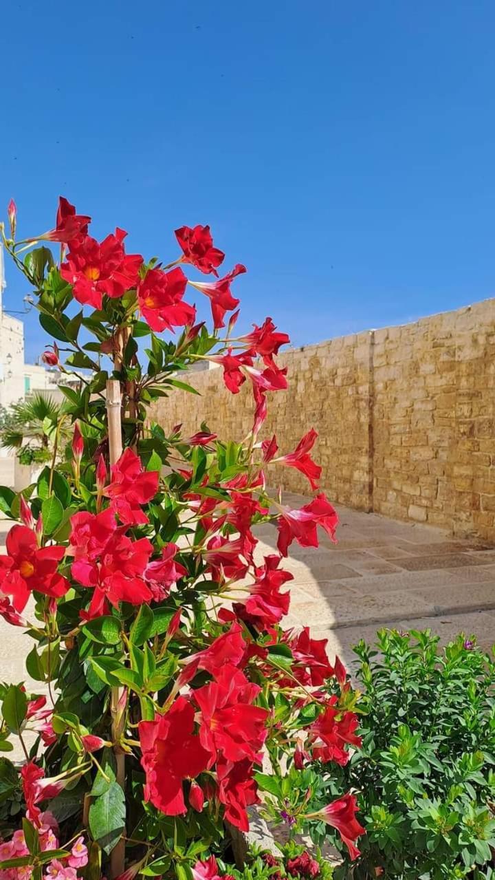 Vila H2O Giovinazzo Exteriér fotografie